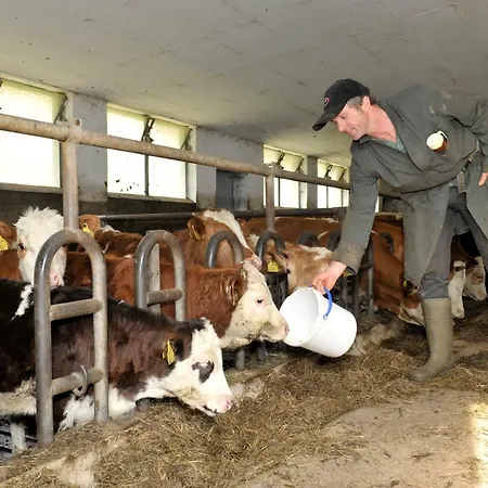 Vakantieboerderij Timmelbauerhof