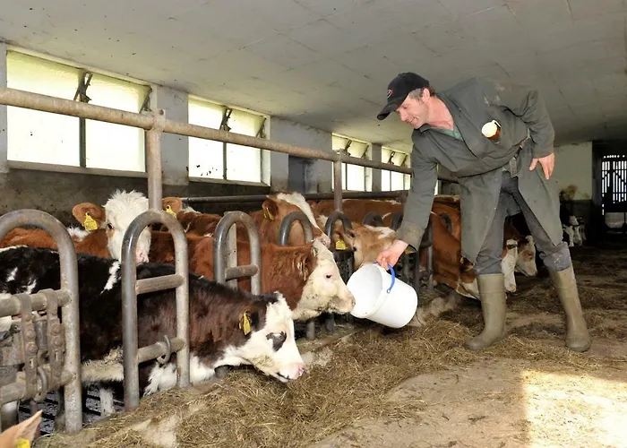 Séjour à la ferme Timmelbauerhof